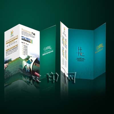 福州宣传折页设计、印刷与制作全攻略 打造卓越营销物料